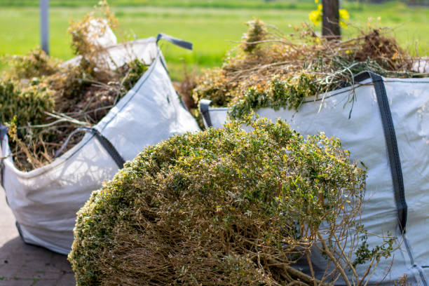 Best Moving and Downsizing Cleanouts  in Centerfield, UT